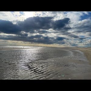 Meet your Posher, Ellie